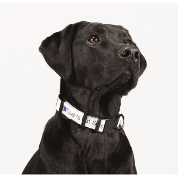 Full Color 1" Wide Adjustable Pet Collar Thumbnail