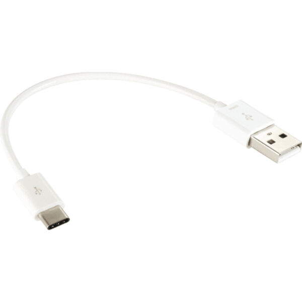 USB Type C Cable Thumbnail